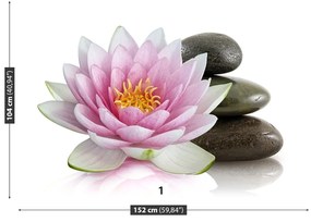 Fototapeta Vliesová Lotosový kvet 104x70 cm
