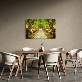 Obraz - Živý tunel z plumérií (90x60 cm)