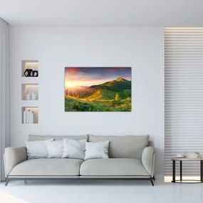 Obraz - Letná krajina (90x60 cm)