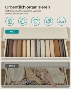 Set šiestich organizérov na bielizeň RUS009G03