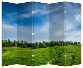 Paraván - Lúka (210x170 cm)