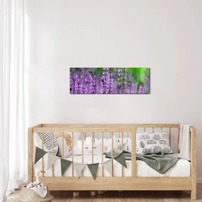 Obraz fialových lúčnych kvetov (s hodinami) (90x30 cm)