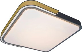 XXXLutz STROPNÉ LED SVIETIDLO, 42/8,5/42 cm Rabalux - Interiérové svietidlá - 006264075101