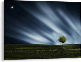 Obraz polárna žiara nad vresoviskom (70x50 cm)