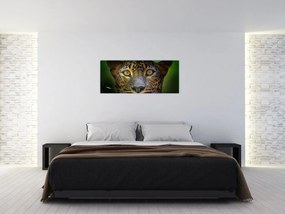 Obraz - Portrét leoparda, Sri Lanka (120x50 cm)