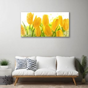 Obraz Canvas Tulipány kvety rastlina 100x50 cm