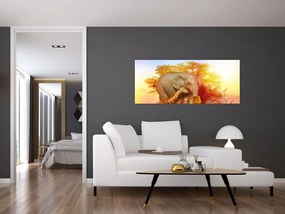 Obraz afrických zvieratiek (120x50 cm)