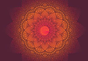 Fototapeta - Mandala, tmavá (147x102 cm)