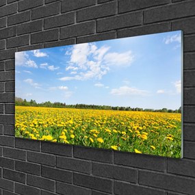 Obraz na skle Púpava príroda 125x50 cm