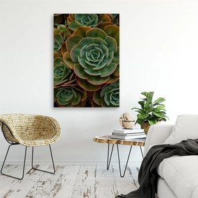 Gario Obraz na plátne Zelený sukulentný kvet Rozmery: 40 x 60 cm