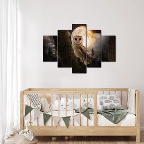 Obraz sovy (150x105 cm)