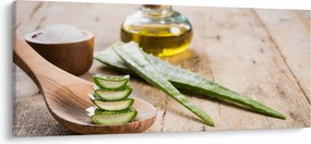 Obraz - Aloe vera (120x50 cm)