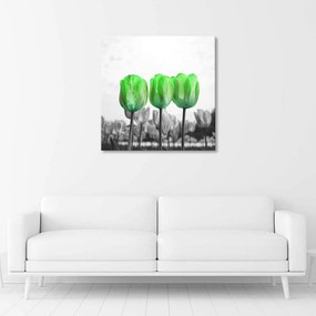 Gario Obraz na plátne Zelené tulipány na lúke Rozmery: 30 x 30 cm