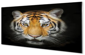 Sklenený obraz tiger 140x70 cm