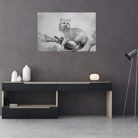 Obraz - Líška šedá (90x60 cm)