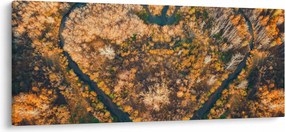 Obraz - Rieka v tvare srdca (120x50 cm)