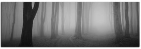 Obraz na plátne - Hmla v lese - panoráma 5182QA (120x45 cm)