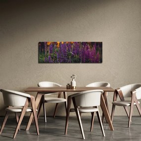 Obraz kvetov vlčieho bôbu (s hodinami) (90x30 cm)