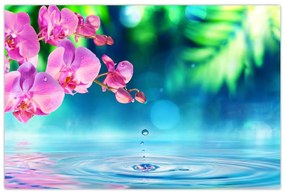 Obraz - Orchidea (90x60 cm)