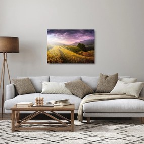 Sklenený obraz krajiny (70x50 cm)