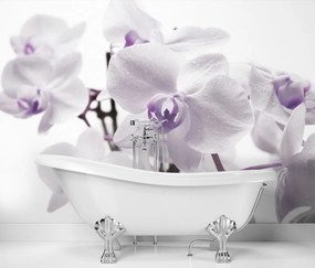 Fototapeta, Kvetoucí orchidej - 450x315 cm