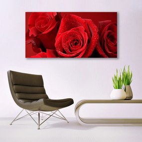 Obraz na akrylátovom skle Ruže kvety 120x60 cm