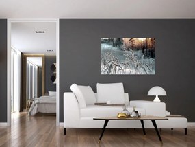 Obraz - Zamrznutá lúka (90x60 cm)