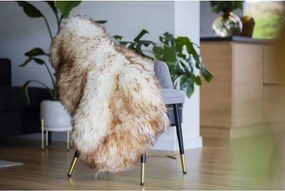 Ovčia kožušina muflón