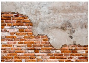 Artgeist Fototapeta - Secret of the Wall Veľkosť: 150x105, Verzia: Standard