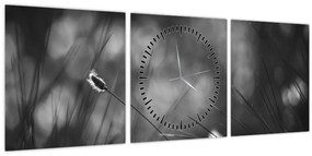 Obraz - Lúčna tráva (s hodinami) (90x30 cm)