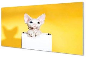 Sklenený obraz sediaci mačka 140x70 cm