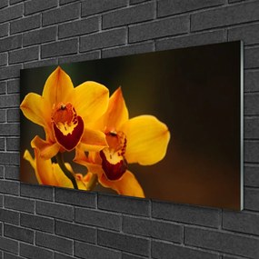 Obraz na skle Kvety rastlina 125x50 cm