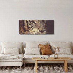Obraz tigra (120x50 cm)