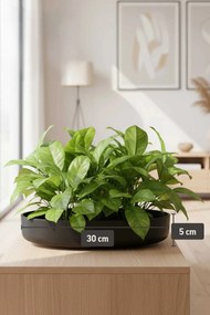 Dekoračná miska ORYVEN, sklolaminát, priemer 30 cm, antracit