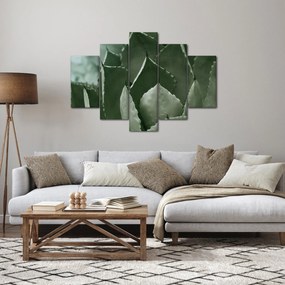Obraz - Zelená agáve (150x105 cm)