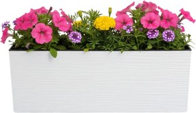 Plastový květináč Bouquet Riflo 56x19 cm bílý
