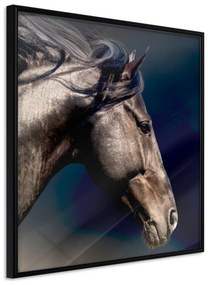 Artgeist Plagát - Majesty [Poster] Veľkosť: 30x30, Verzia: Zlatý rám