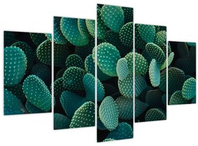 Obraz - Opuncie (150x105 cm)