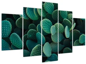 Obraz - Opuncie (150x105 cm)