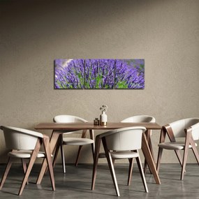 Obraz - levanduľa (s hodinami) (90x30 cm)