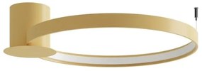 Thoro TH.222 - LED stropné svietidlo RIO LED/21W/230V CRI98 3000K pr. 55 cm zlaté