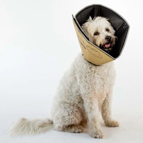 All Four Paws E-obojok pre domáce zviera Comfy Cone XL 30 cm žltohnedý