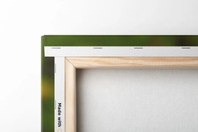 Obraz krásny lúčny kvet