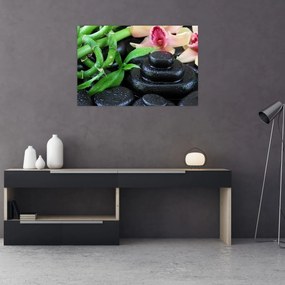 Obraz - Kamene a orchidey (90x60 cm)