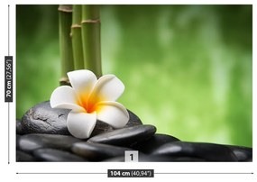 Fototapeta Vliesová Kúpele kvetina 250x104 cm