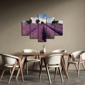Obraz - Levanduľové pole a hory (150x105 cm)