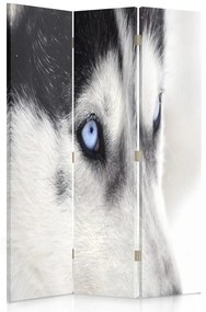 Gario Paraván Sibírsky husky Rozmery: 110 x 170 cm, Prevedenie: Klasický paraván