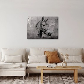Obraz - Portrét koňa (70x50 cm)