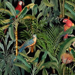 MINDTHEGAP Parrots Of Brasil Anthracite - tapeta