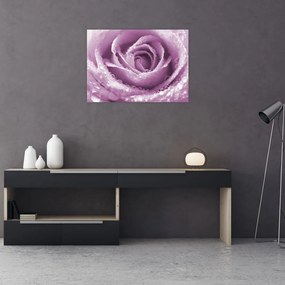 Sklenený obraz detailu kvetu ruže (70x50 cm)